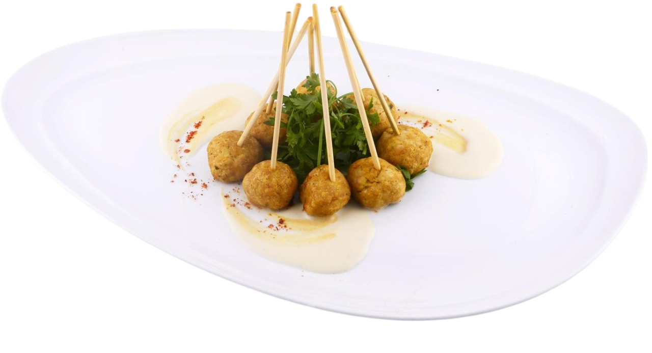 KEBAB DE POLLO 10 UN POR 60 GR C/U CONGELADO AL VACÍO